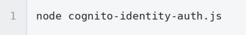 node_cognito_run