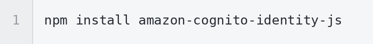 npm_cognito